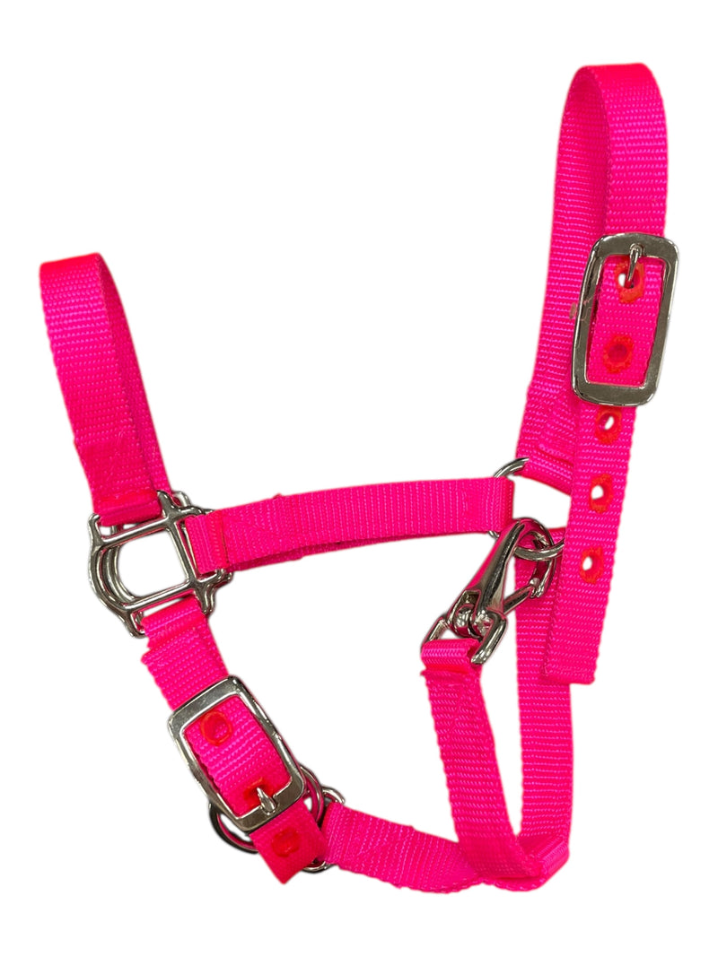 Nylon Halter - Hot Pink - Est. Foal - USED