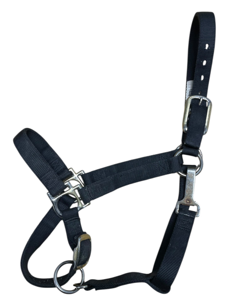Weaver Nylon Halter - Black - 1" Small Horse - USED