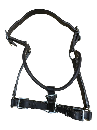 Billy Royal Tooled Halter - Dark Brown - Horse Size - USED