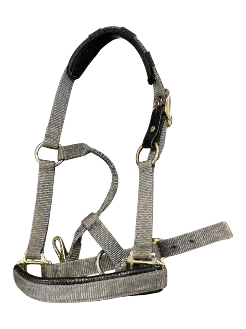 Shires Topaz Breakaway Halter - Grey - P/S - USED