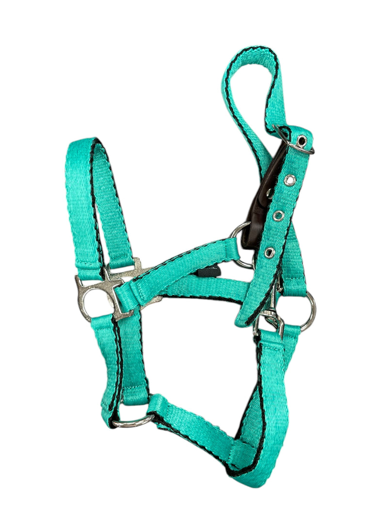 Nylon Halter - Light Green - Foal - USED
