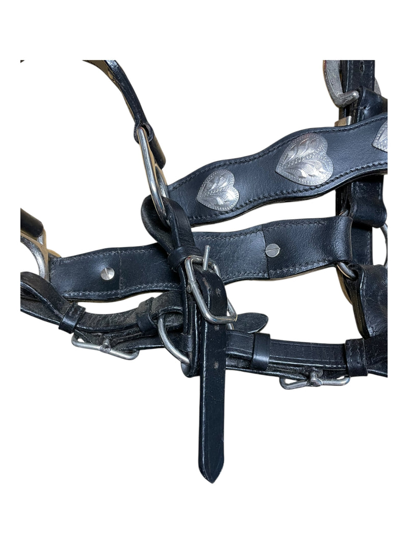 Western Show Halter - Black/Silver - Est. F/S - USED