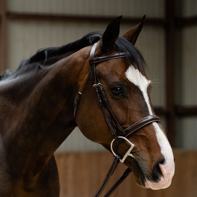 Black Oak Poppy Bridle
