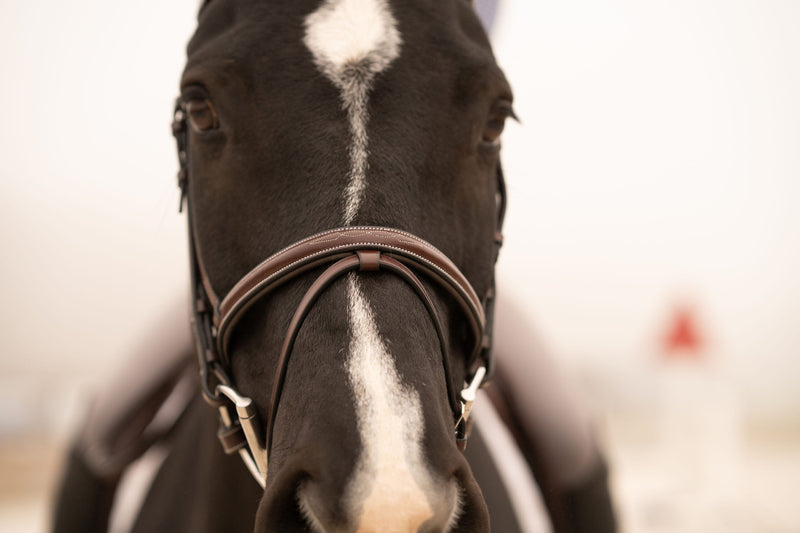 Red Barn Sovereign Bridle