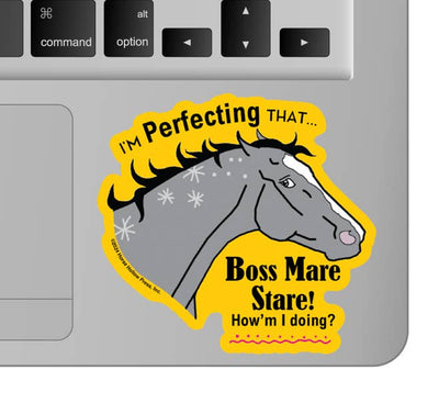 3" Tumbler Horse Sticker / Boss Mare Stare / WATERPROOF