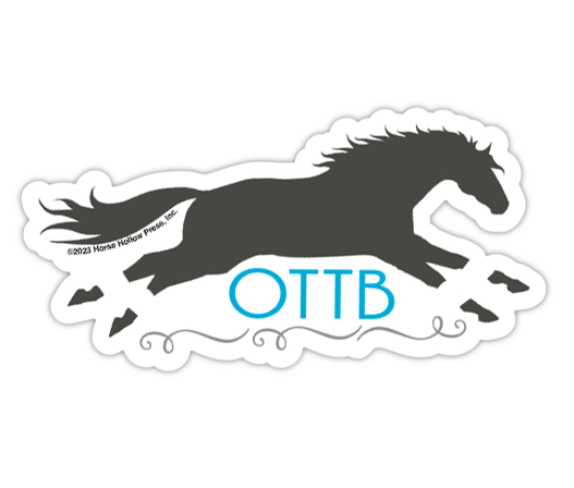 3" Tumbler Horse Sticker / OTTB Thoroughbred / WATERPROOF