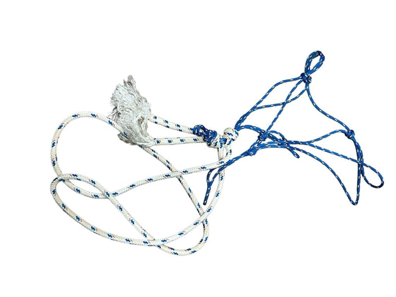 Rope Halter and Lead - Blue and White - USED