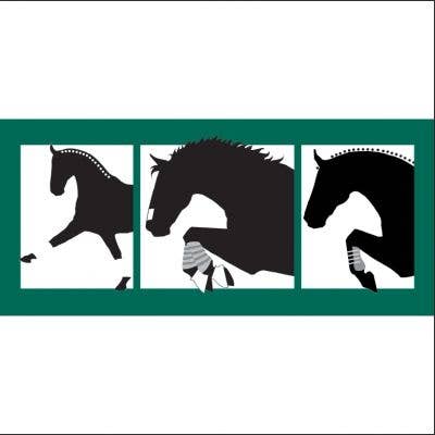 Horse Three Phase Eventing Sticker