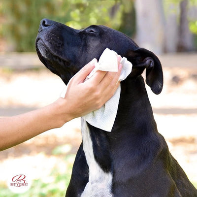 Betty's Best Skin & Coat Cloth Wipes Xl with Dispenser