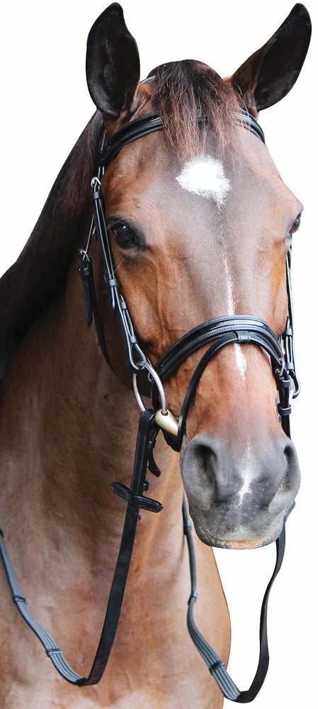 Henri de Rivel Pro Piaffe Mono Crown Bridle with Flash Noseband with Patent Leather