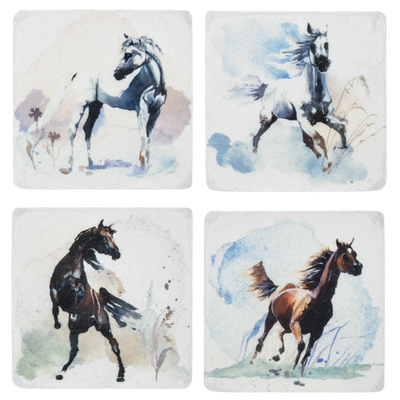 Wild Horse Coasters