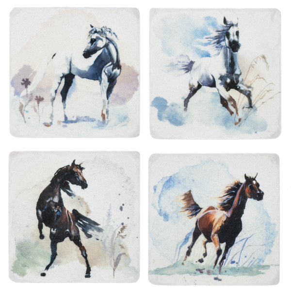 Wild Horse Coasters