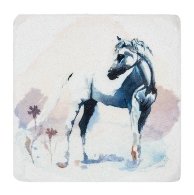 Wild Horse Coasters