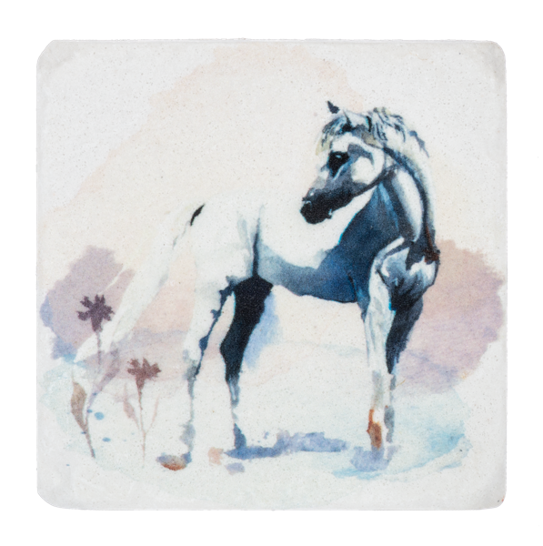 Wild Horse Coasters