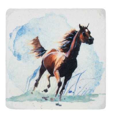 Wild Horse Coasters