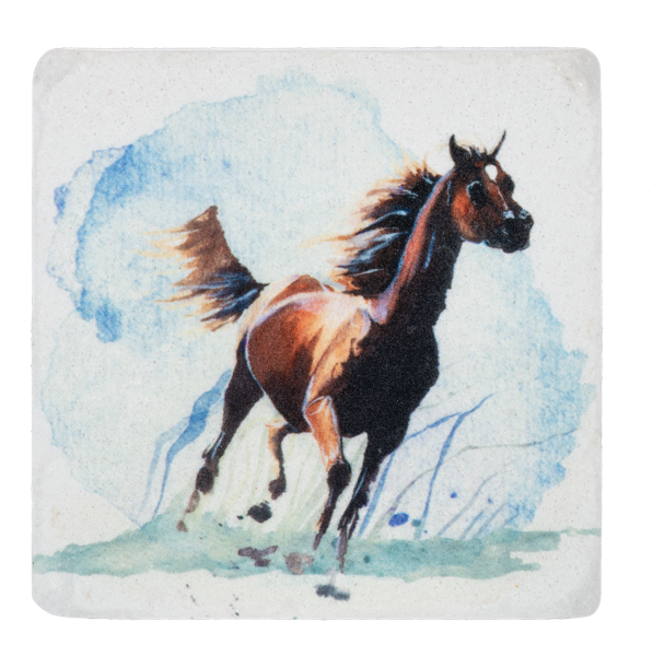 Wild Horse Coasters