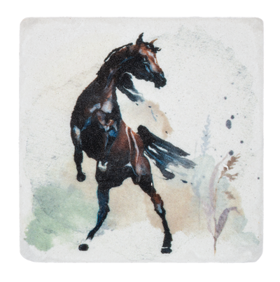 Wild Horse Coasters