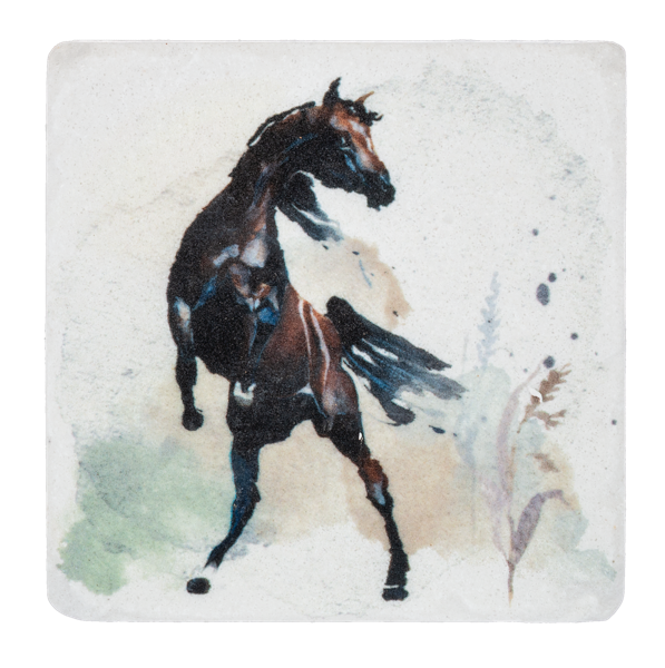 Wild Horse Coasters