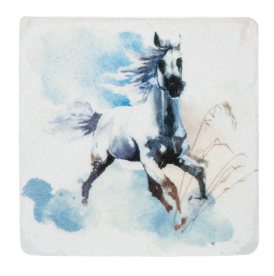 Wild Horse Coasters