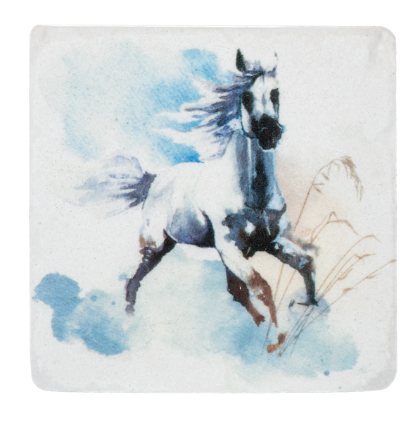 Wild Horse Coasters