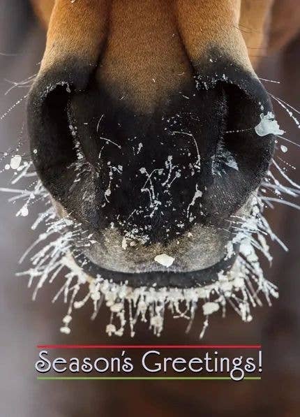 Horse Christmas Card / Frosty Nose / Holiday Greeting Card
