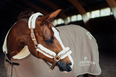 Equestrian Stockholm Fur Halter - Champagne
