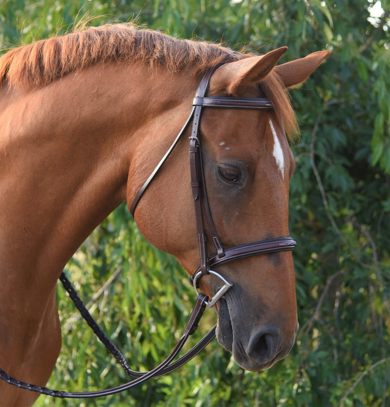 Red Barn Icon Bridle