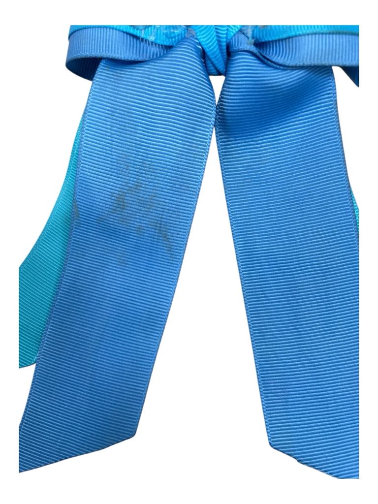 Show Bows *Pair* - Blue - One Size - USED
