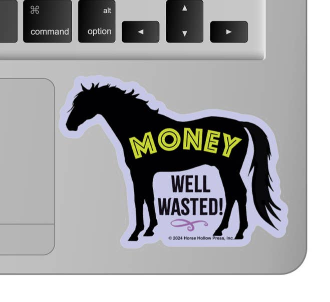 3" Tumbler Horse Sticker / Money Well Wasted / WATERPROOF