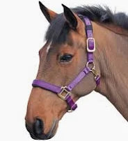 Shires Arma "Topaz" Comfort Nylon Halter
