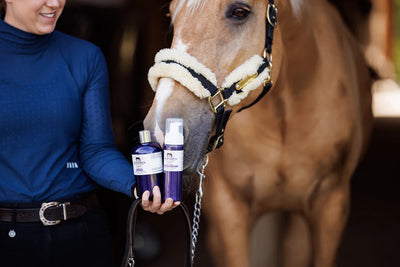 Dr. Hansen's Unicorn Shampoo