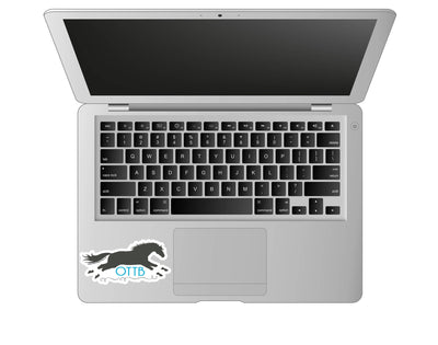 3" Tumbler Horse Sticker / OTTB Thoroughbred / WATERPROOF