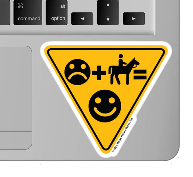 3" Tumbler Horse Sticker / Frown, Ride = Smile / WATERPROOF