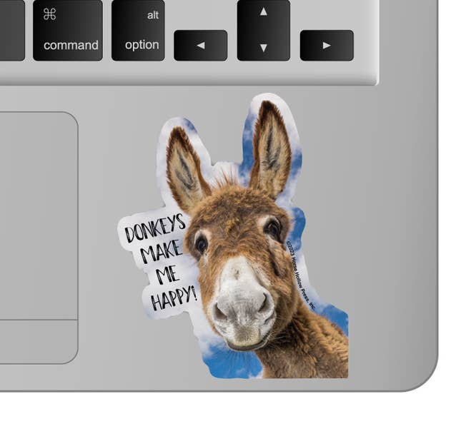 3" Tumbler Donkey Sticker / Make Me Happy /WATERPROOF