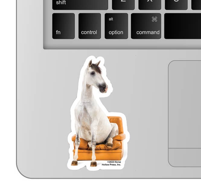 3" Tumbler Horse Sticker / Horse Seated Chair / WATERPROOF