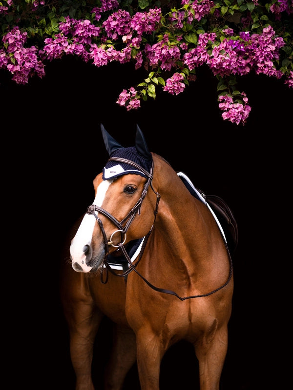 Equestrian Stockholm Midnight White Edge Ear Net