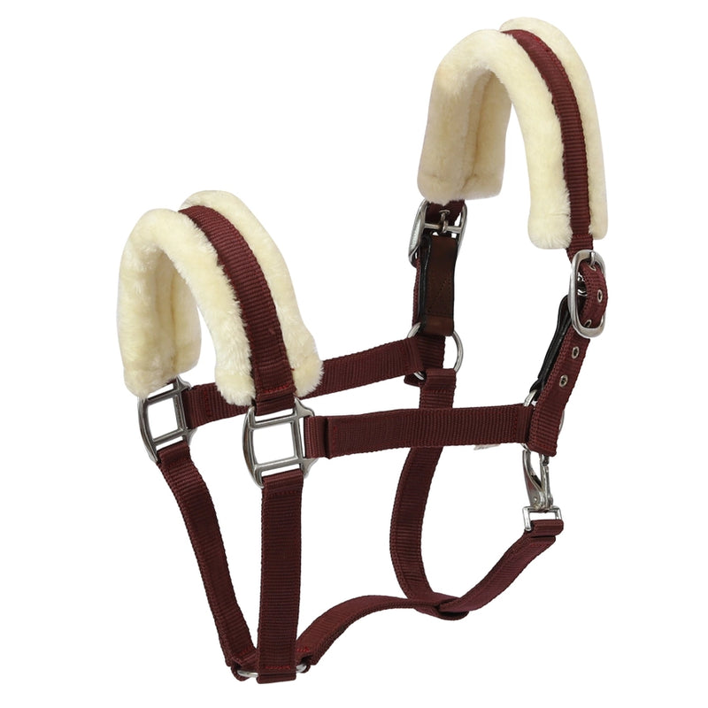 Henri De Rivel Sherpa Fleece Halter with Leather Breakaway
