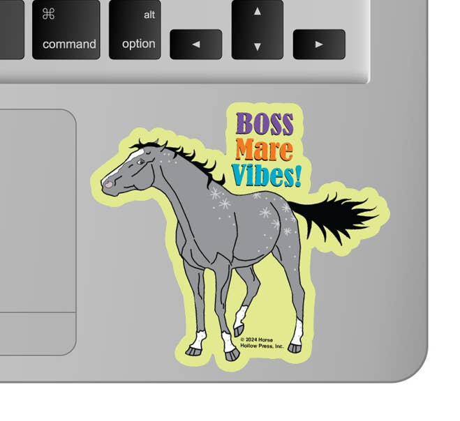 3" Tumbler Horse Sticker / Boss Mare Vibes / WATERPROOF