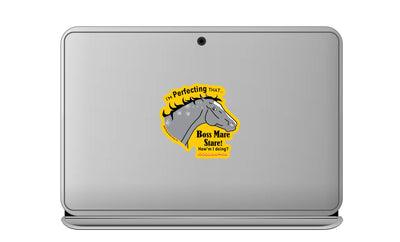 3" Tumbler Horse Sticker / Boss Mare Stare / WATERPROOF
