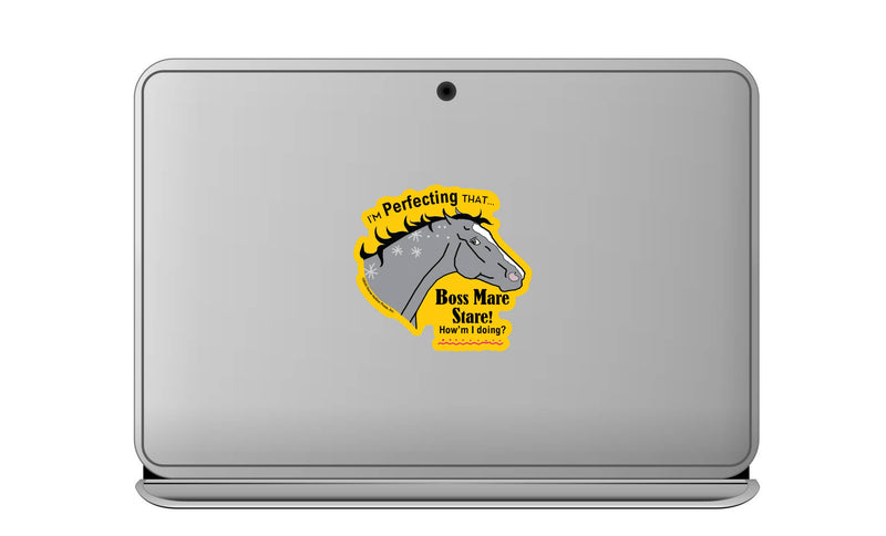 3" Tumbler Horse Sticker / Boss Mare Stare / WATERPROOF