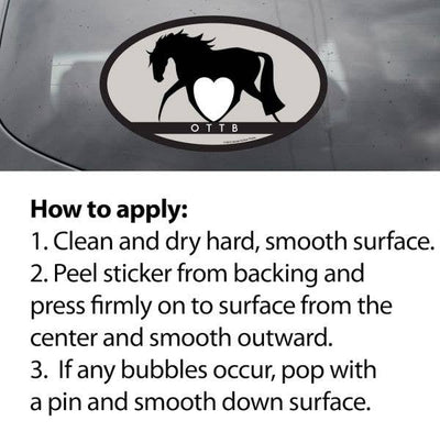 Oval Equestrian Horse Sticker / Conformation / WATERPROOF