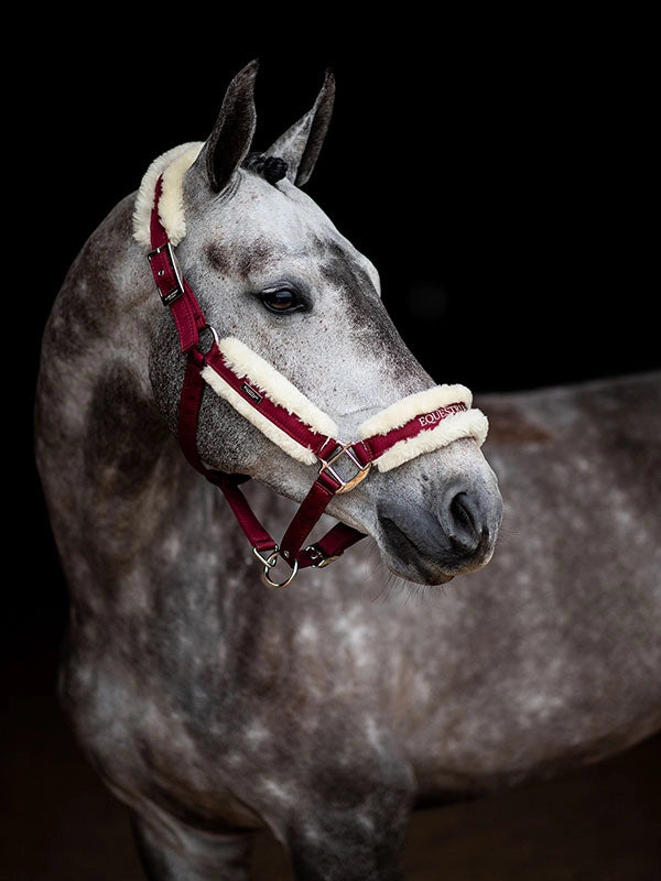 Equestrian Stockholm Fur Halter - Bordeaux