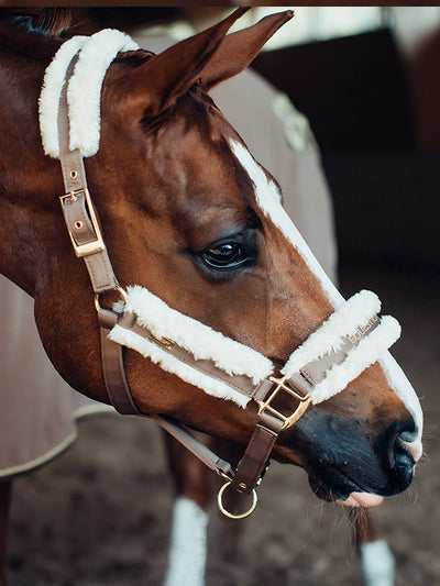 Equestrian Stockholm Fur Halter - Champagne