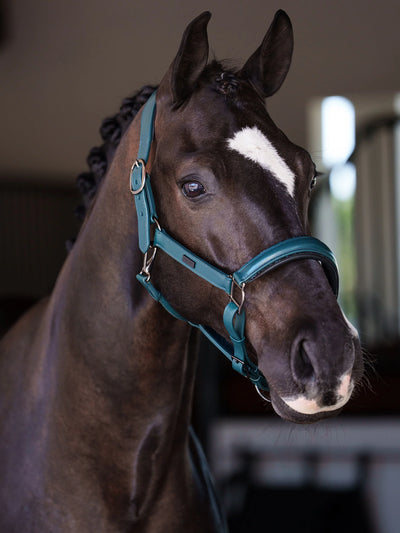 Equestrian Stockholm Halter  - Teal Blue