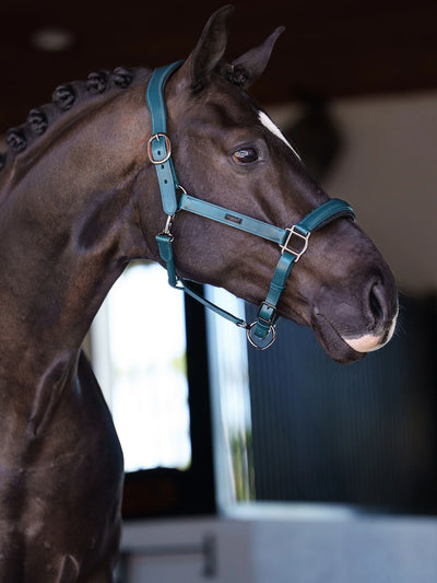 Equestrian Stockholm Halter  - Teal Blue