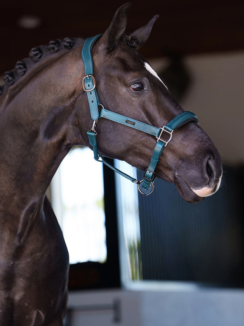 Equestrian Stockholm Halter  - Teal Blue