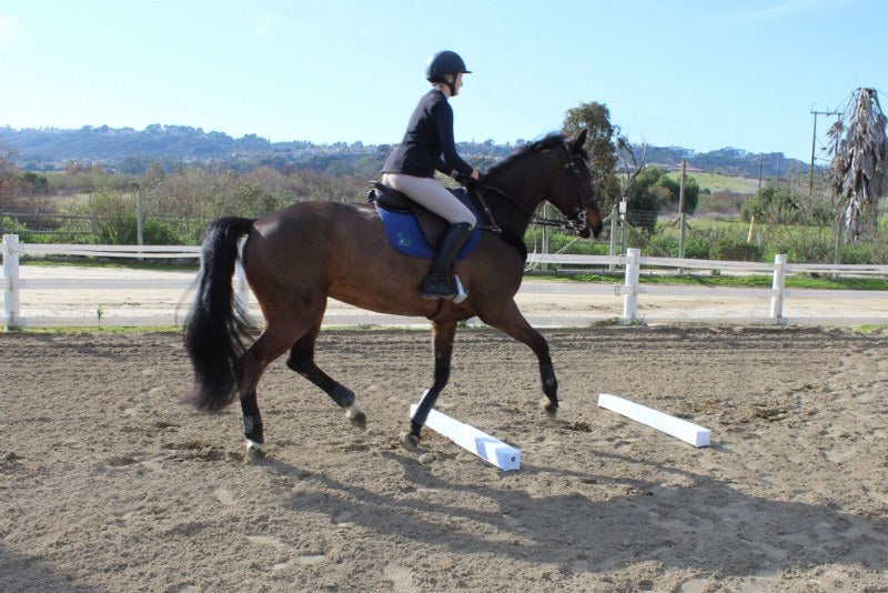 Burlingham Soft Rails – Equine Essentials