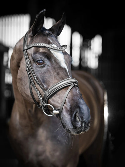 LeMieux Arika Bridle