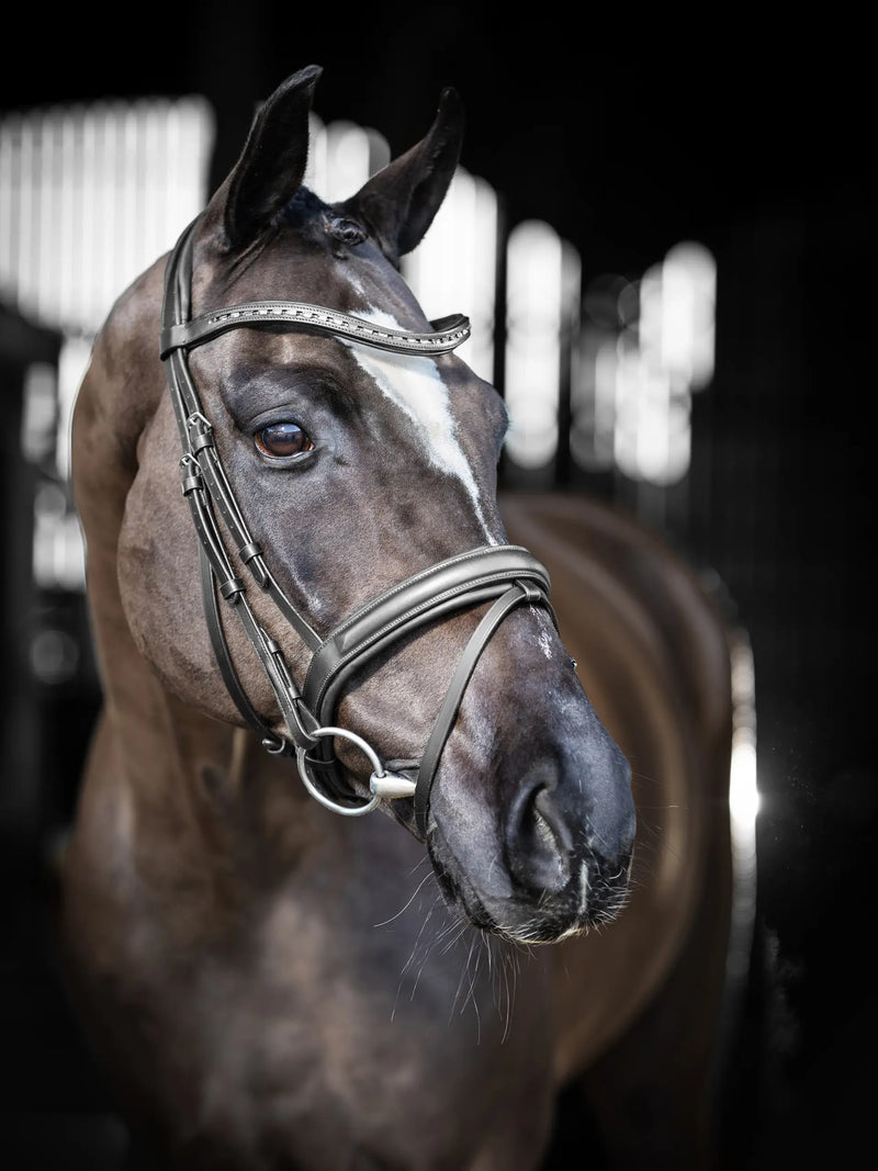 LeMieux Arika Bridle