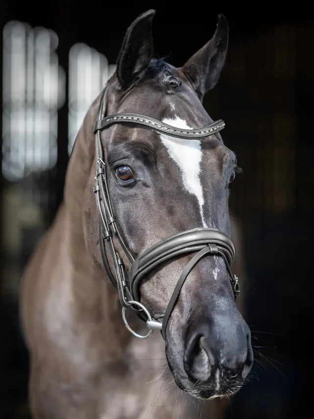 LeMieux Arika Bridle